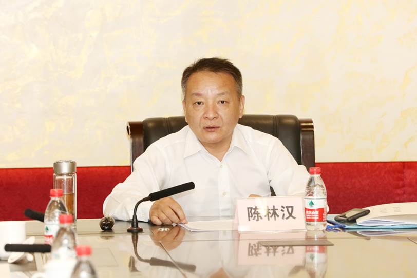 说明: D:\李子丹\新闻和照片\2019\学术\11.8太阳成集团tyc7111cc\陈林汉.JPG